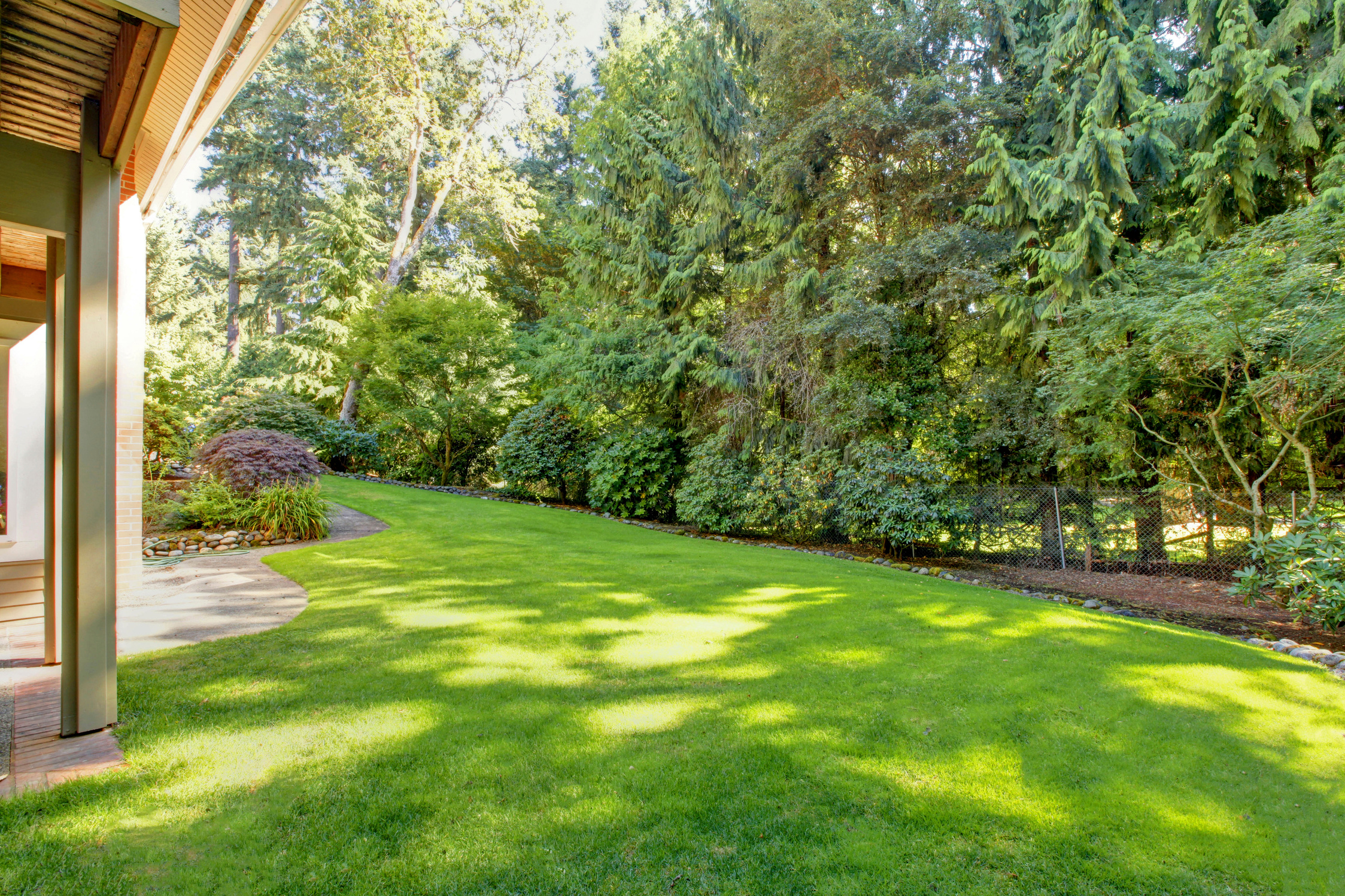 Green spring back yard with beautiful lawn.